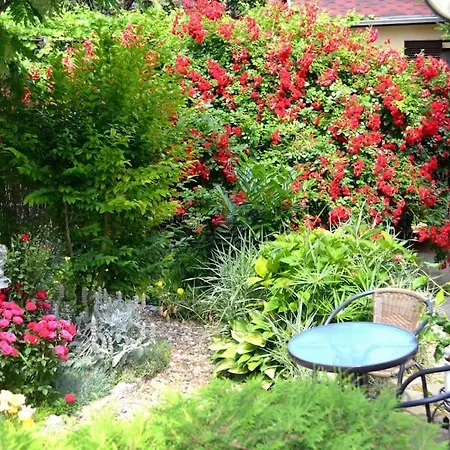 Sea & Garden Appartement