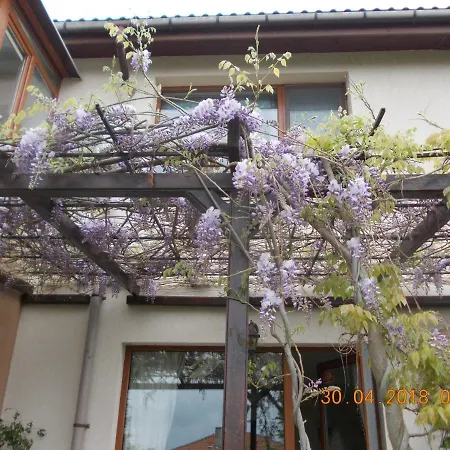 公寓 Sea & Garden